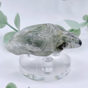 Tumbled Prasiolite