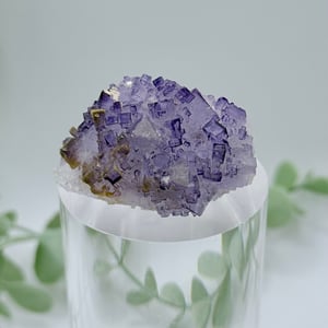 Small Purple Cubic Fluorite