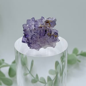 Small Purple Cubic Fluorite