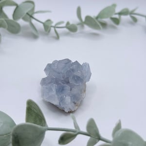 Celestite Cluster
