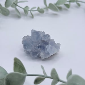 Celestite Cluster