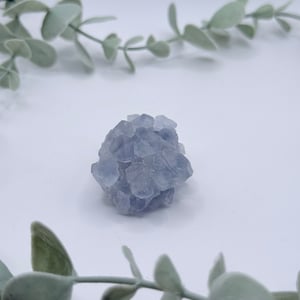 Celestite Cluster