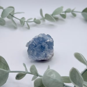Celestite Cluster