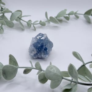 Celestite Cluster