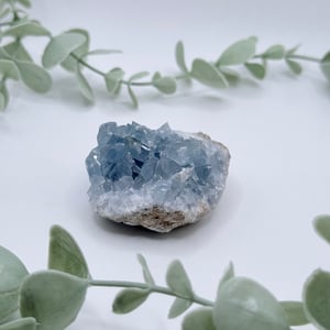 Celestite Cluster