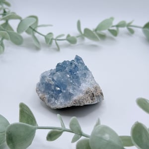 Celestite Cluster