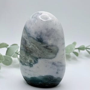 Sea Jasper Freeform