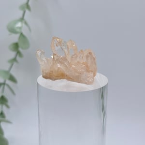 Himalayan Quartz Cluster