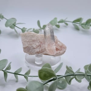 Himalayan Quartz Cluster
