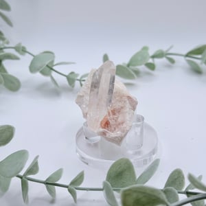 Himalayan Quartz Cluster