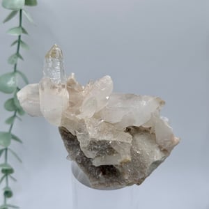 Himalayan Quartz Cluster