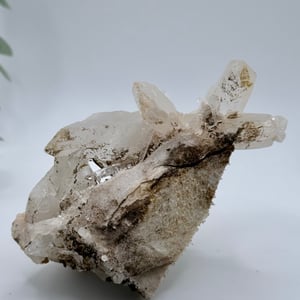 Himalayan Quartz Cluster
