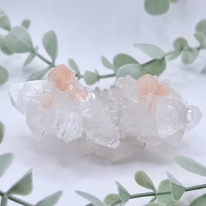 Diamond Apophyllite With Stilbite