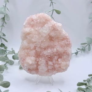 Pink Apophyllite