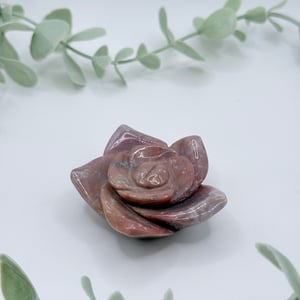 Sea Jasper Flower