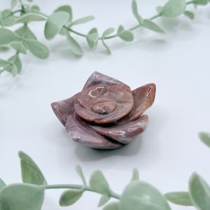 Sea Jasper Flower
