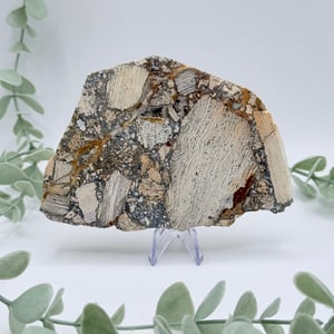 Opalized Breccia Slice - B