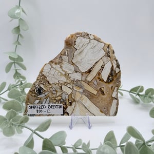 Opalized Breccia Slice - C