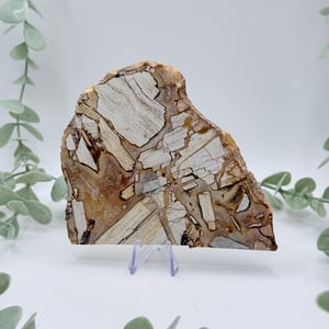 Opalized Breccia Slice - C