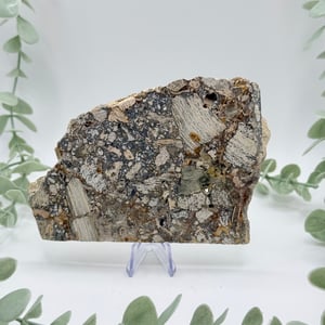 Opalized Breccia Slice - D