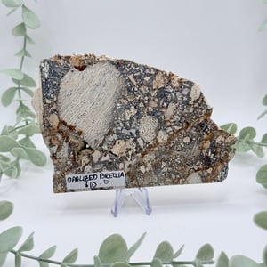 Opalized Breccia Slice - D