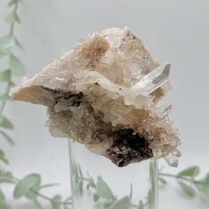 Himalayan Quartz Cluster