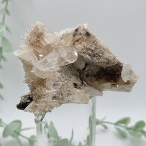 Himalayan Quartz Cluster