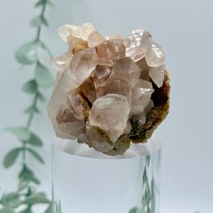 Pink Himalayan Quartz Cluster