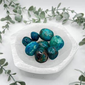 Chrysocolla Tumbled Stones
