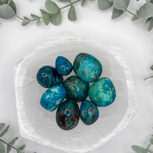 Chrysocolla Tumbled Stones
