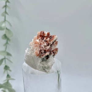 Apophyllite With Hematite On Mordenite