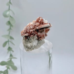 Apophyllite With Hematite On Mordenite