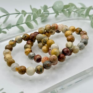 10mm Crazy Lace Agate Bracelet