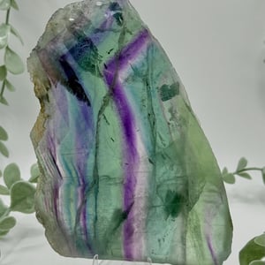 Rainbow Fluorite Slice
