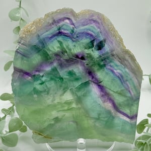 Rainbow Fluorite Slice
