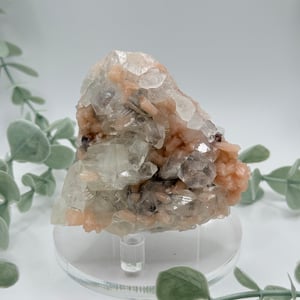 Diamond Apophyllite With Peach Stilbite