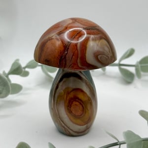 Polychrome Jasper Mushroom