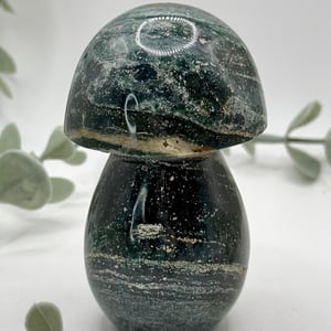Sea Jasper Mushroom