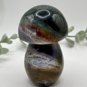 Sea Jasper Mushroom