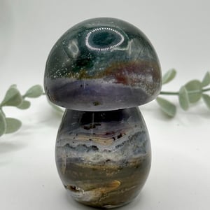 Sea Jasper Mushroom