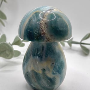 Sea Jasper Mushroom