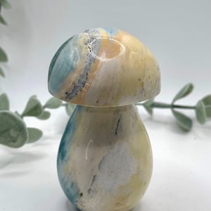 Sea Jasper Mushroom