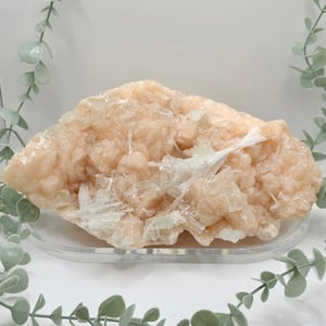 Large Stilbite, Apophyllite and Scolecite Specimen