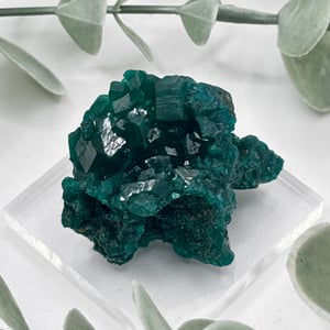 Dioptase - Congo
