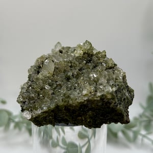 Fairy Forest Epidote With Quartz