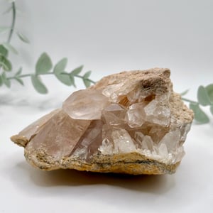 Himalayan Quartz Cluster