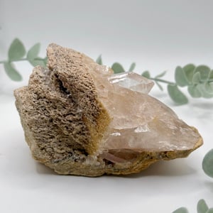 Himalayan Quartz Cluster