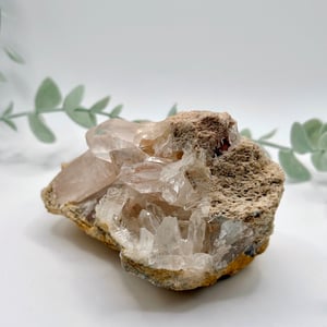Himalayan Quartz Cluster
