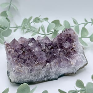 Amethyst Quartz Cluster - Brazil no photo
