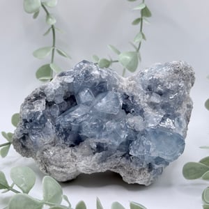Celestite specimen
